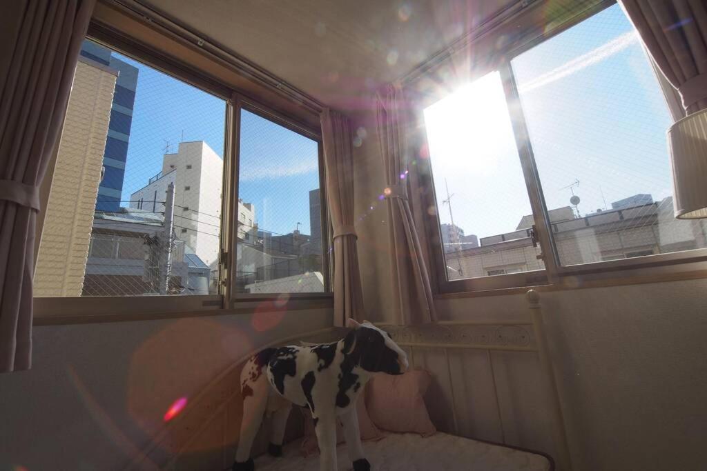 【Great Location!】Near Shinjuku Sta./Girls #302 Apartment Tokyo Exterior photo
